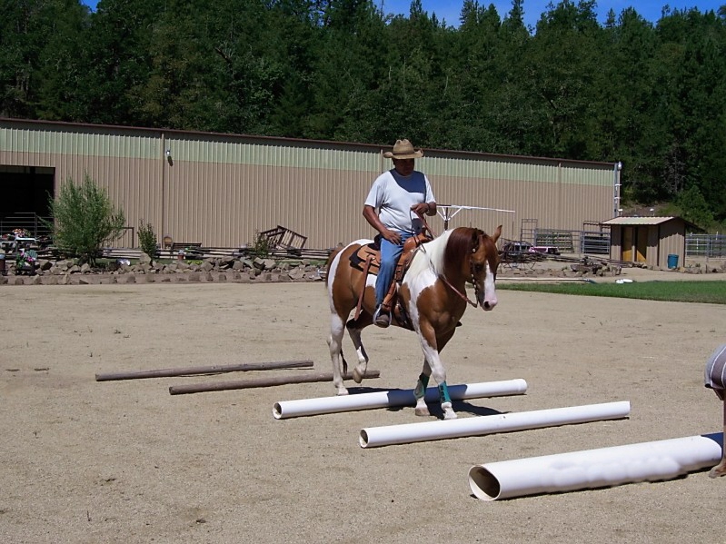 horseback riding in Oregon