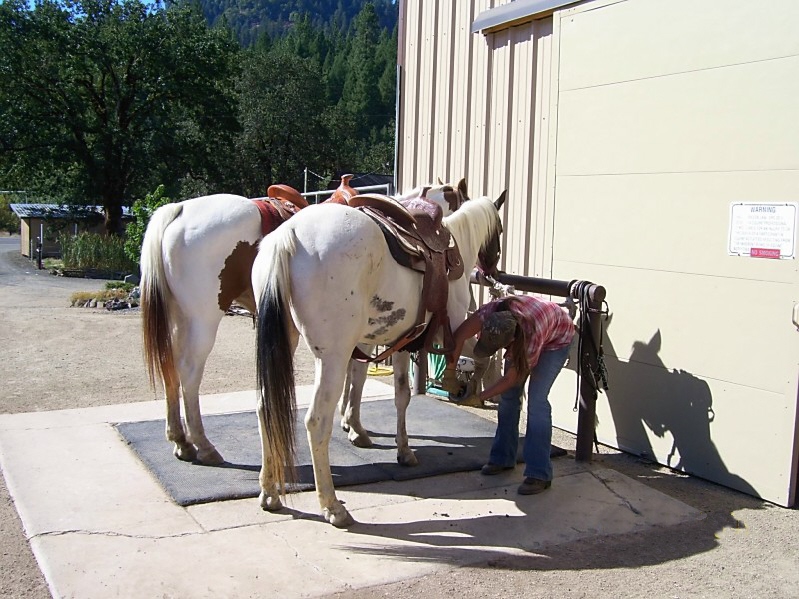 cleaning hooves after horse riding