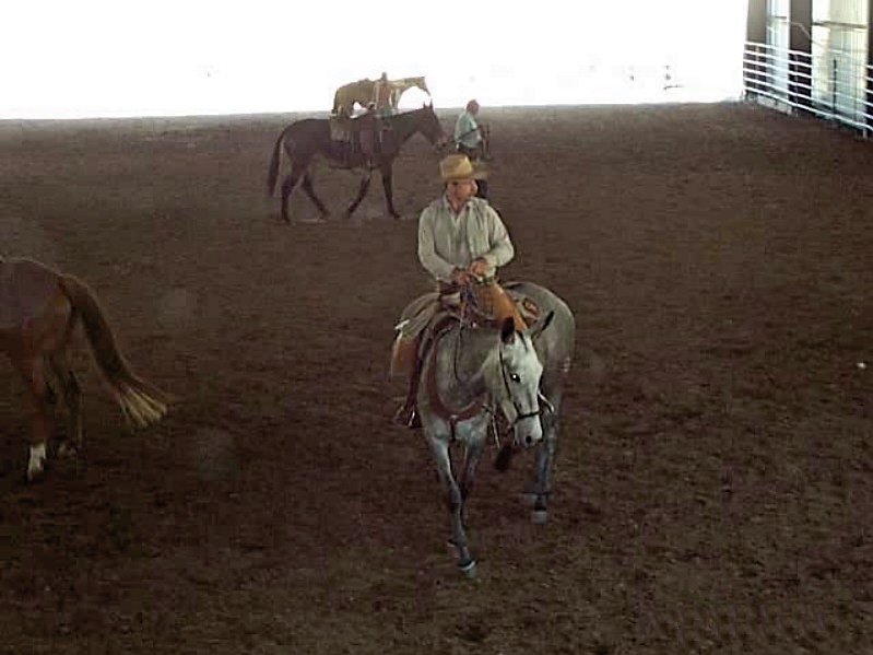 mule show/arena rental/horseback riding